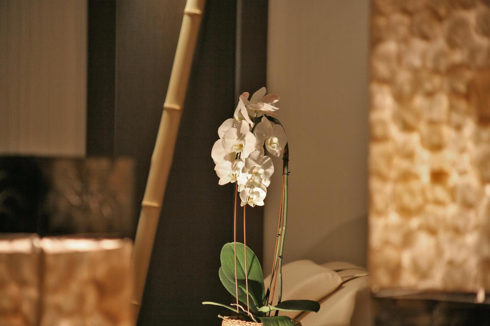 וילינגן Hotel & Spa Waldecker Hof מראה חיצוני תמונה